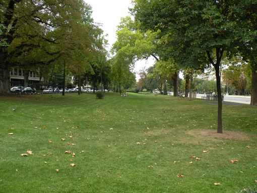  gazon, avenue Foch